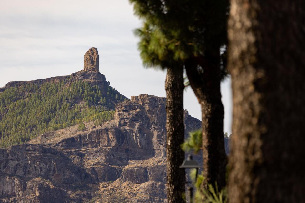 Casa Isabela With Roque Nublo View Apartment